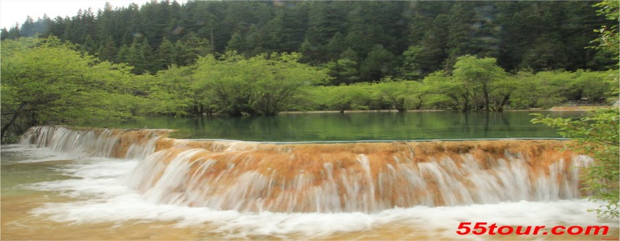 黄   龙
