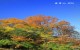 光雾山风景
