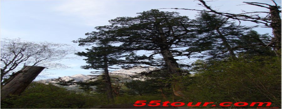 P1110748