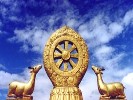拉萨、纳木错、林芝双飞6日游