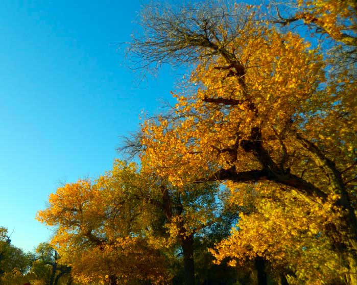 嘉峪关、敦煌、吐鲁番、乌鲁木齐九日游