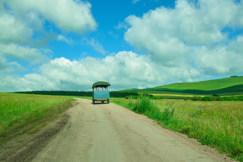 乌市 塞里木湖 那拉提 果子沟 吐鲁番 天池 乌市 双飞七日游