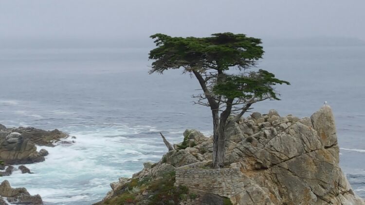土耳其费特希耶13天