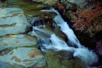 广元唐家河红叶最佳观赏时间