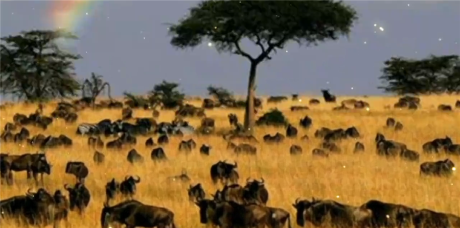 【全国联运】肯尼亚10天游，南航广州往返