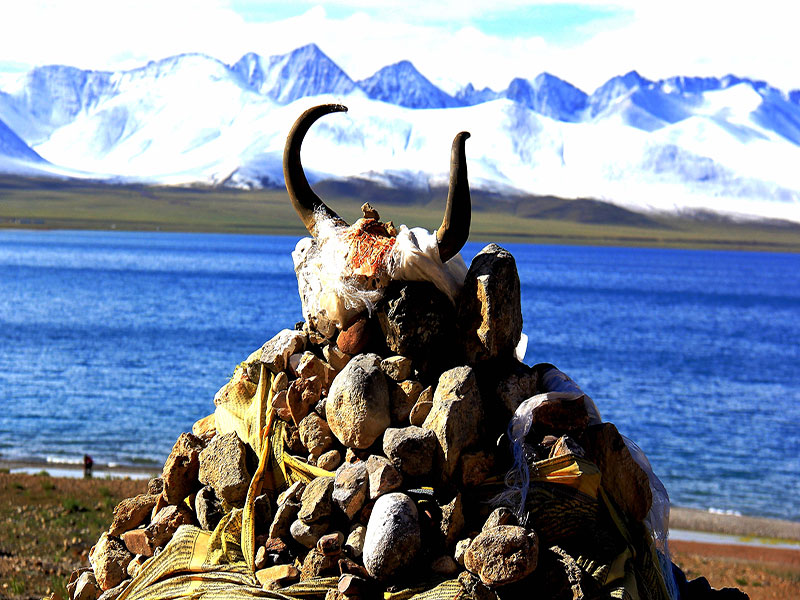 川进青出大环线15日游