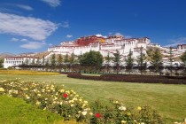 （新都桥）川藏南线 G318 纯玩 11 日游四川康辉旅行社总部发团