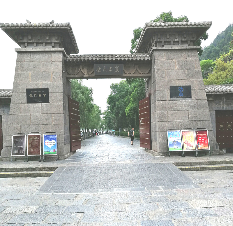 行走河南 洛阳牡丹