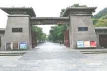 行走河南 洛阳牡丹