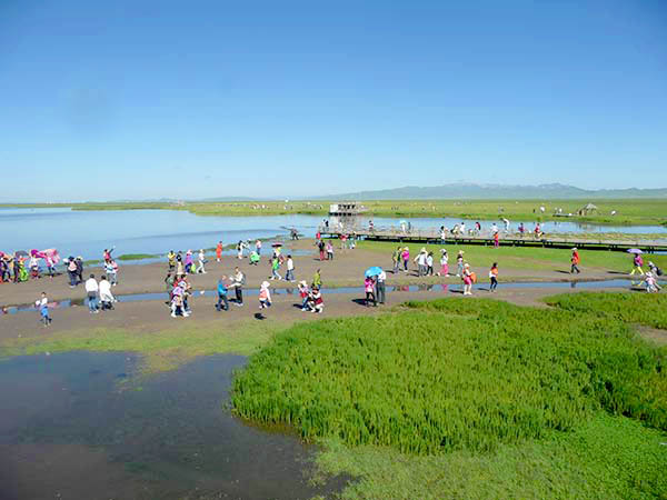 P1190708