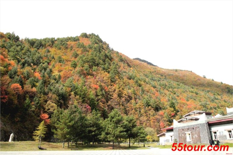 达古冰川秋